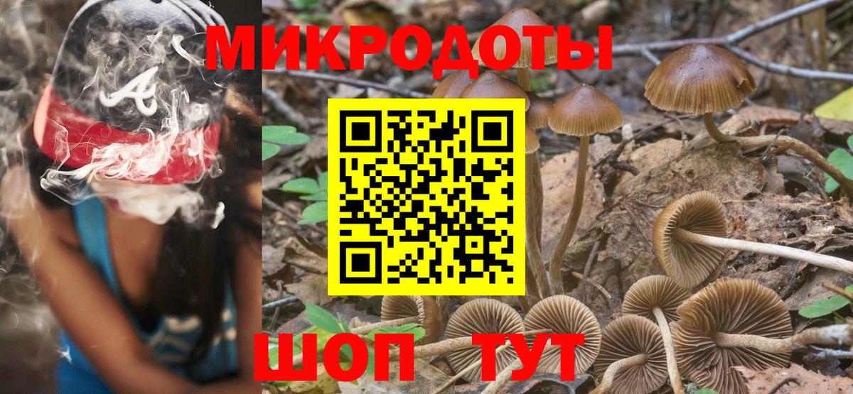 Галлюциногенные грибы GOLDEN TEACHER Новосибирск