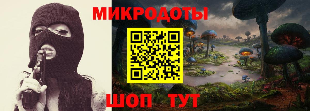Псилоцибиновые грибы Psilocybine cubensis  Псилоцибиновые грибы Psilocybine cubensis  где купить наркоту  Вход с VPN  Новосибирск 